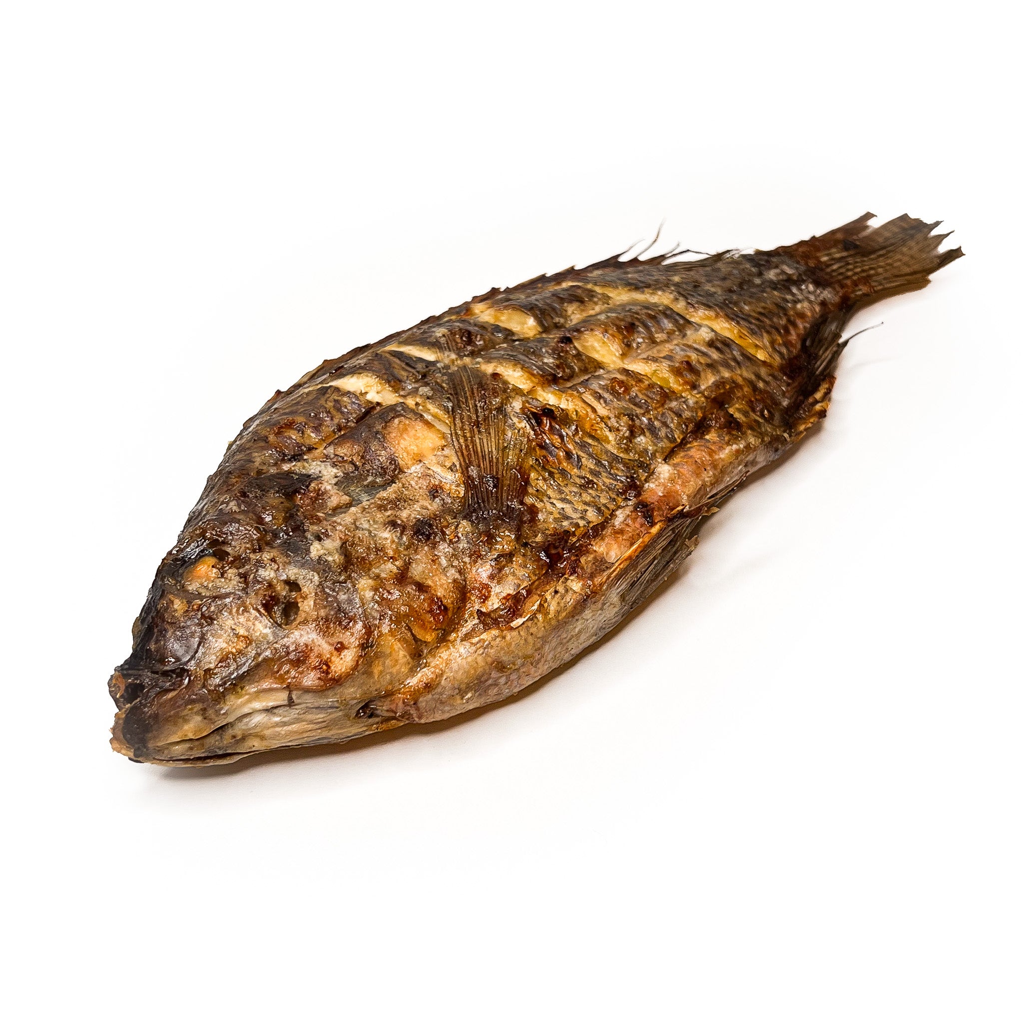 Tilapia vis